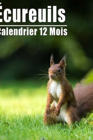 Cover of Calendrier 2021 Écureuils