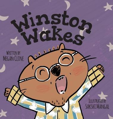 Book cover for Winston Wakes
