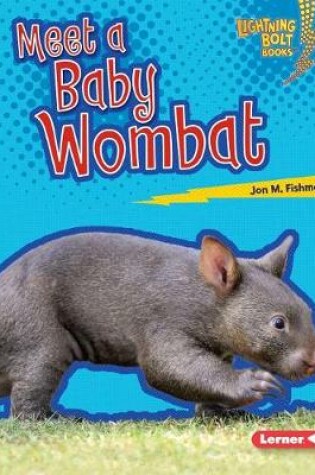 Cover of Meet a Baby Wombat