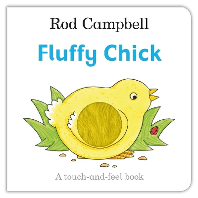 Book cover for Fluffy Chick