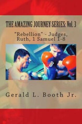 Cover of The Amazing Journey Series