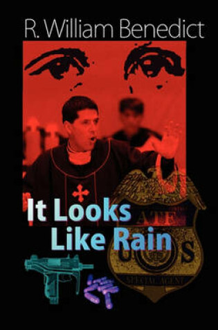 Cover of It Looks Like Rain