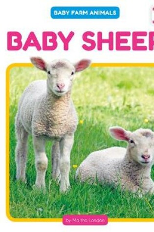 Cover of Baby Sheep