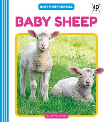 Book cover for Baby Sheep