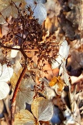 Cover of Dried Up Hydrangea Blooms 2019 Daily Planner 384 Pages