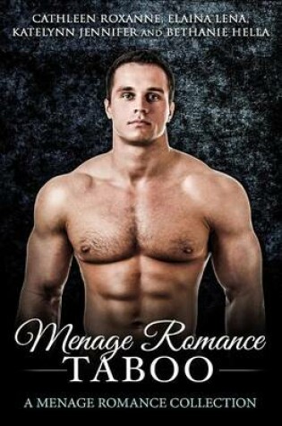 Cover of Menage Romance Taboo