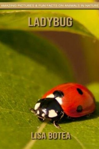 Cover of Ladybug