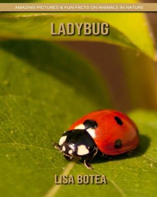 Book cover for Ladybug