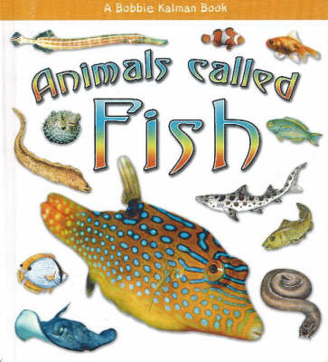 Cover of Animals Called Fish