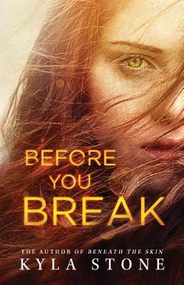 Book cover for Before You Break