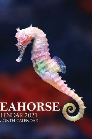 Cover of Seahorse Calendar 2021