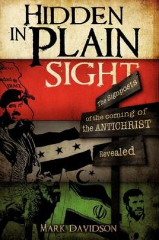 Cover of Hidden in Plain Sight