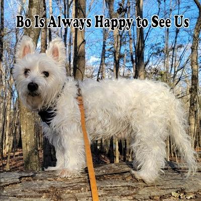 Book cover for Bo is Always Happy to See Us