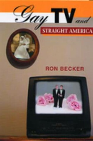 Cover of Gay TV and Straight America