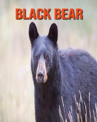 Book cover for Black Bear