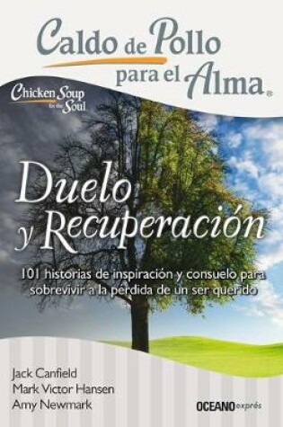 Cover of Duelo Y Recuperacion