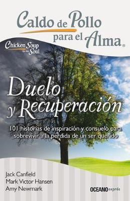 Book cover for Duelo Y Recuperacion