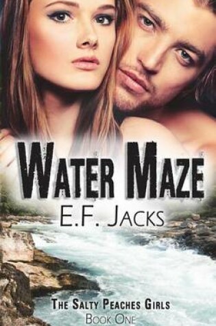 Cover of Water Maze