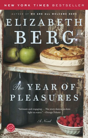 Book cover for The Year of Pleasures