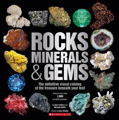 Book cover for Rocks, Minerals & Gems