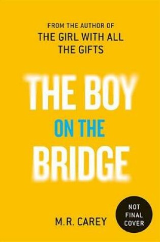 Cover of The Boy on the Bridge