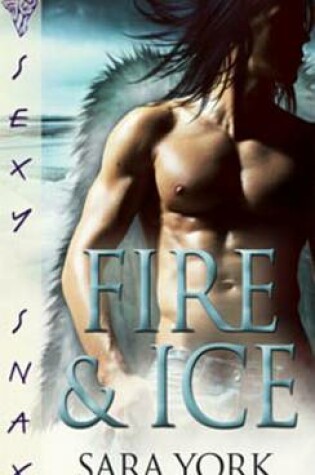 Cover of Fire and Ice