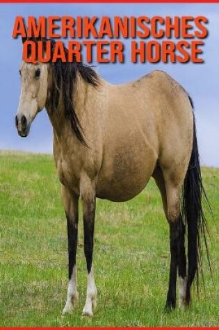 Cover of Amerikanisches Quarter Horse