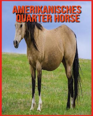 Book cover for Amerikanisches Quarter Horse