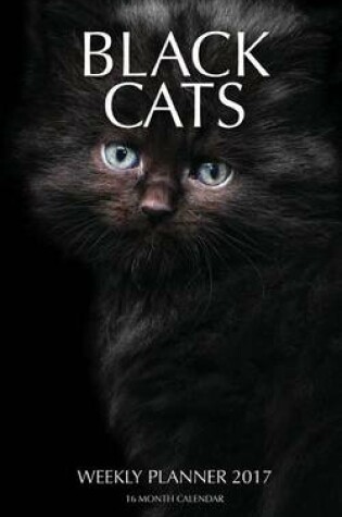 Cover of Black Cats Weekly Planner 2017