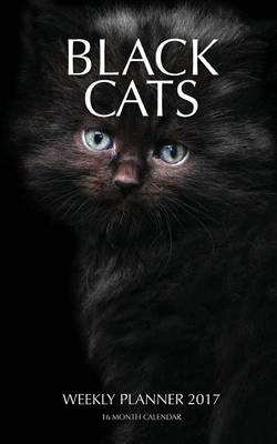 Book cover for Black Cats Weekly Planner 2017