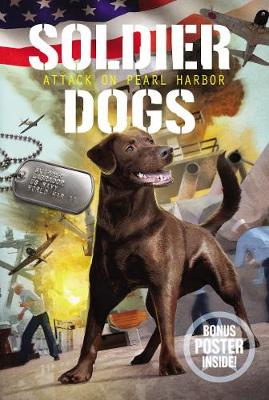 Book cover for Attack on Pearl Harbor