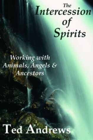 Cover of Intercession of Spirits