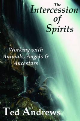 Book cover for Intercession of Spirits