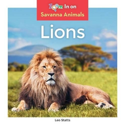 Cover of Lions