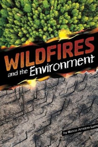 Cover of Wildfires and the Environment