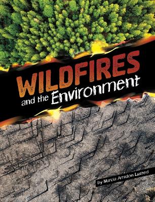 Book cover for Wildfires and the Environment