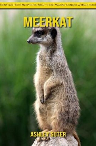 Cover of Meerkat