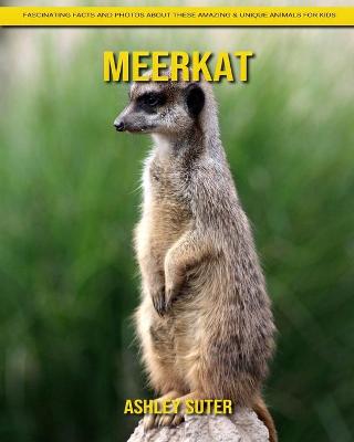 Book cover for Meerkat