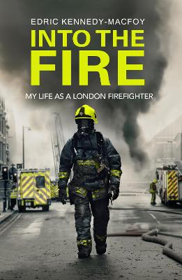 Book cover for Into the Fire