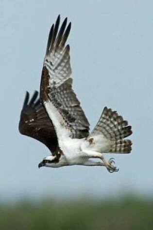 Cover of Osprey in Flight Journal