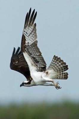 Book cover for Osprey in Flight Journal