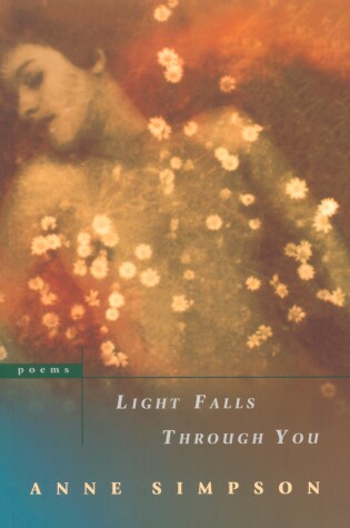 Cover of Light Falls Through You