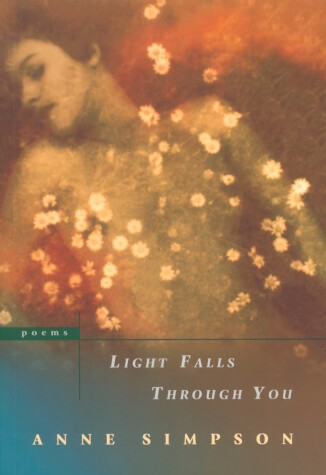 Book cover for Light Falls Through You