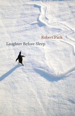 Book cover for Laughter Before Sleep