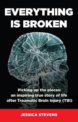 Book cover for Everything Is Broken