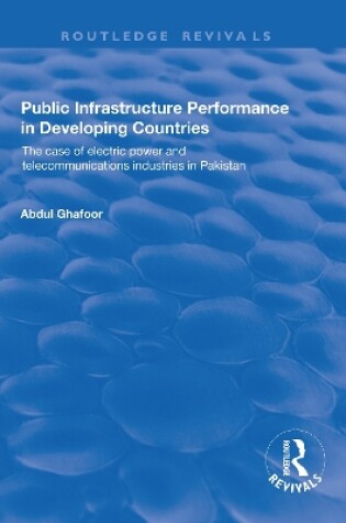 Cover of Public Infrastructure Performance in Developing Countries