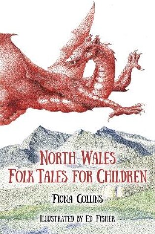 Cover of North Wales Folk Tales for Children