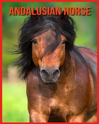 Book cover for Andalusian Horse