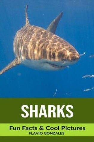 Cover of Sharks