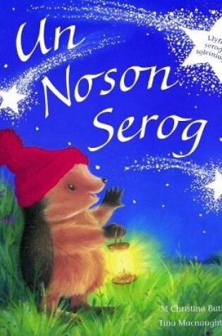 Cover of Cyfres Draenog Bach: Un Noson Serog